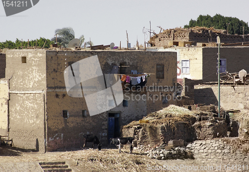 Image of rural scenery in Egypt