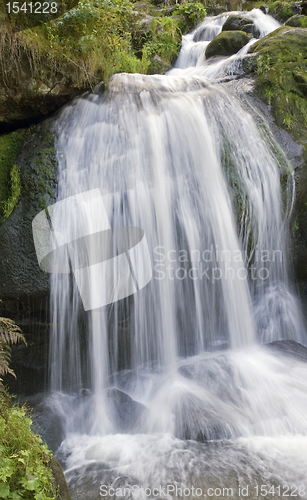 Image of idyllic Triberg Waterfalls