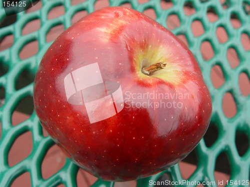 Image of Red Picnic Apple