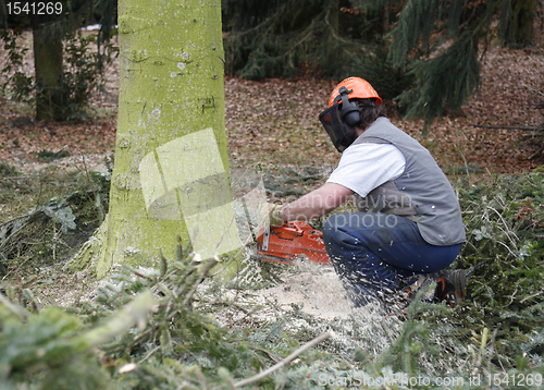 Image of lumberman at work