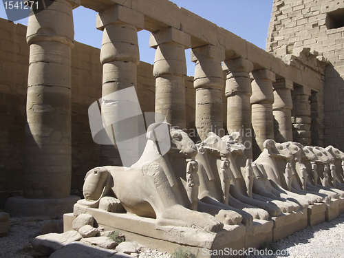Image of scenery around Precinct of Amun-Re