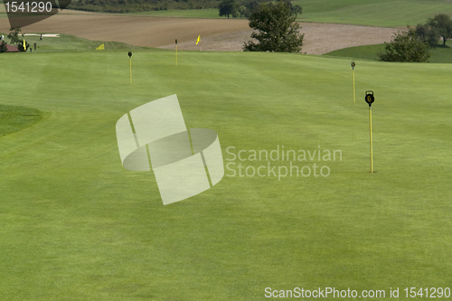 Image of golf scenery at summer time