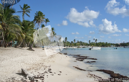 Image of Dominican Republic beach scenery