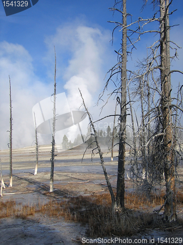 Image of Yellowstone National Park