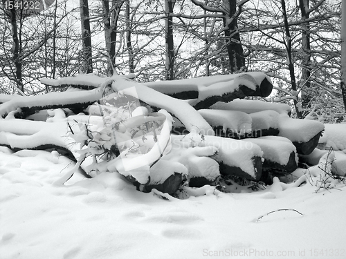 Image of snow covered pile of wood
