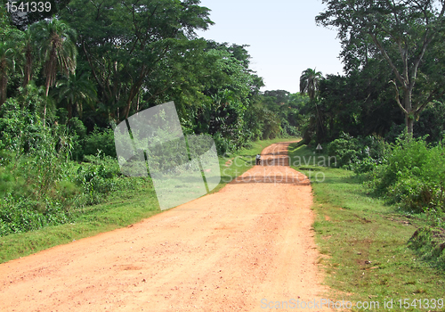 Image of jungle road in Africa