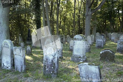 Image of part of a old jewish graveyard
