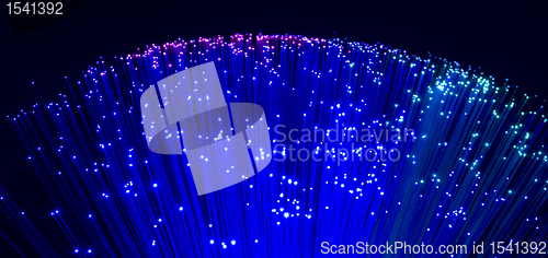 Image of plastic optical fibers