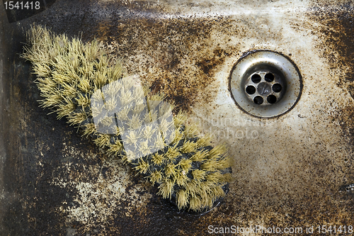 Image of old sink with scrupper