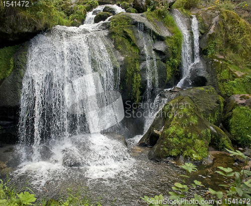 Image of idyllic Triberg Waterfalls