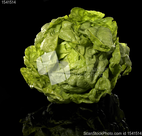 Image of green head of lettuce