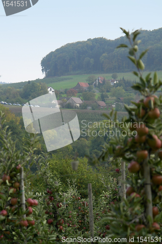 Image of landscape with apple trees at autumn time