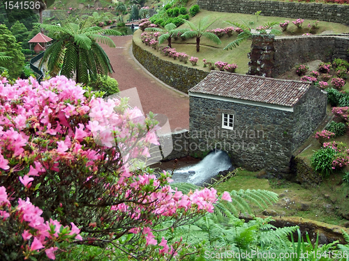 Image of idyllic park at Sao Miguel Island
