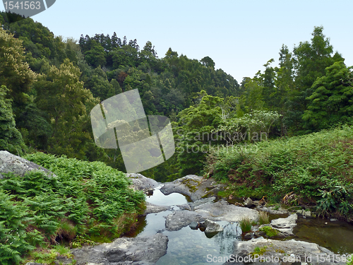 Image of idyllic natural scenery