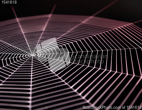 Image of painted cobweb