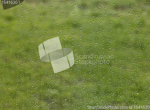 Image of raindrops in green blurry back