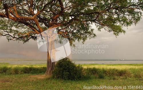 Image of idyllic scenery around Lake Albert in Uganda