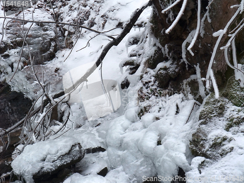 Image of frozen winter detail