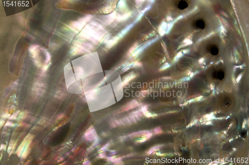 Image of colorful nacre closeup