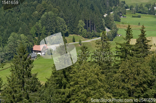 Image of Black Forest scenery at summer time