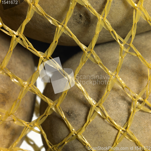 Image of potatoes in a net