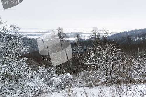 Image of winter scenery in Hohenlohe