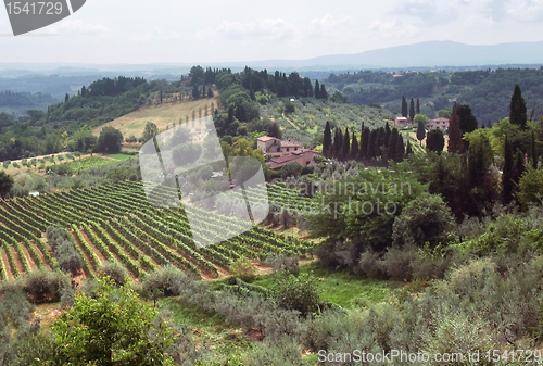 Image of Tuscany landscape