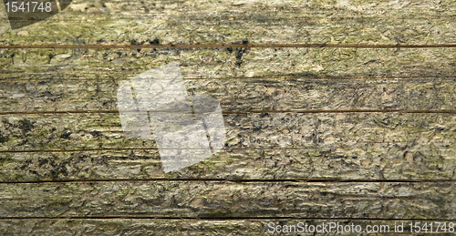 Image of weathered wood detail