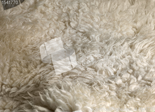 Image of lambskin background