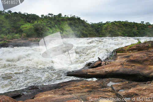 Image of detail of the Murchison Falls