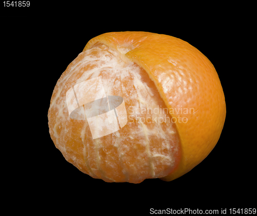 Image of mandarin orange