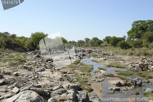 Image of Tarangire River with lots of stones
