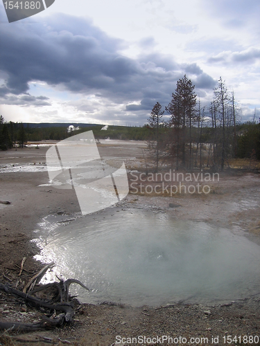 Image of Yellowstone National Park