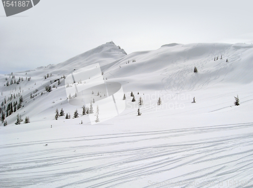 Image of ski piste in Wagrain