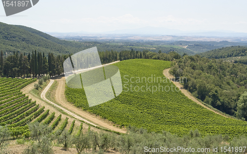 Image of Chianti in Tuscany