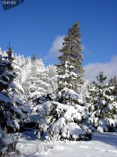 Image of Blue sky and snow