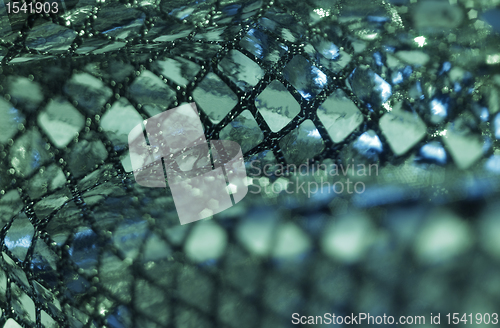 Image of greenish metallic sequined back