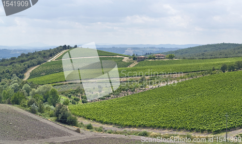 Image of Chianti in Tuscany