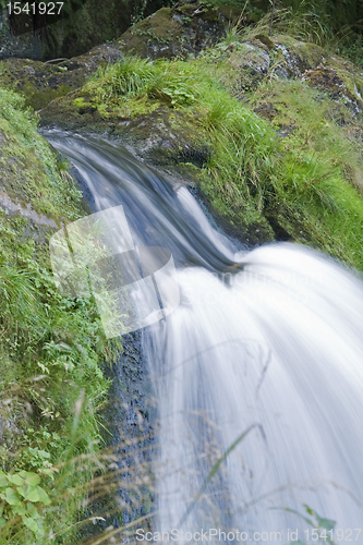 Image of Triberg Waterfalls detail