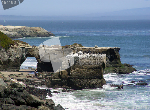 Image of Natural Bridges in Santa Cruz, CA