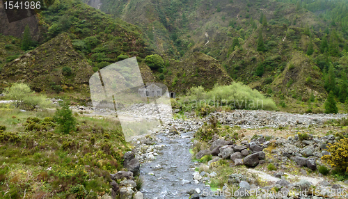 Image of overgrown rock formation and stream