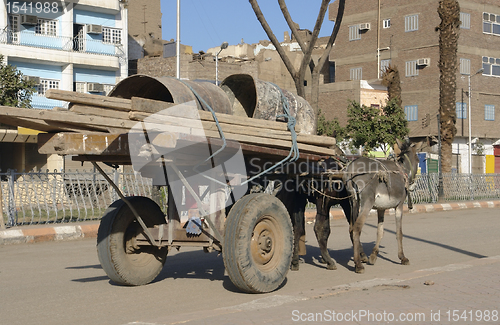 Image of donkey cart in Egypt