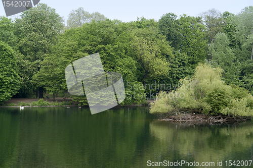 Image of idyllic lake in D