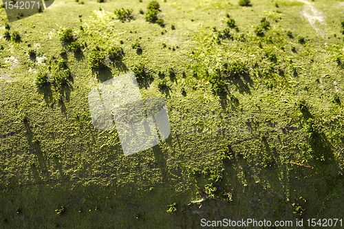 Image of landscape imagination