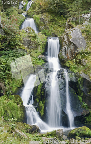 Image of idyllic Triberg Waterfalls