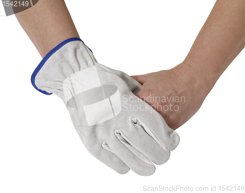 Image of gloved hand