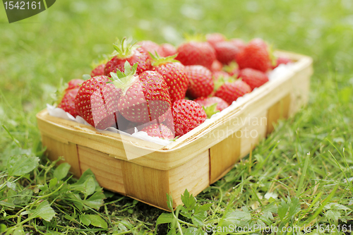Image of Strawberries