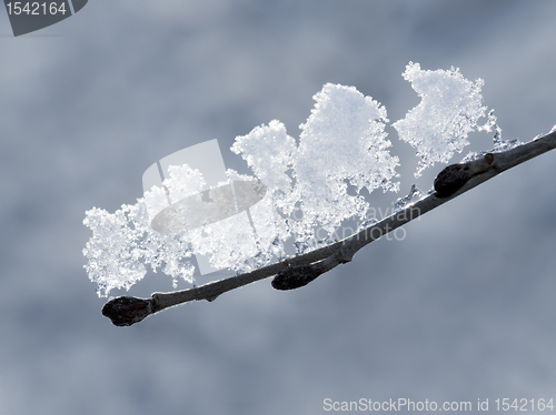 Image of Melting Snow