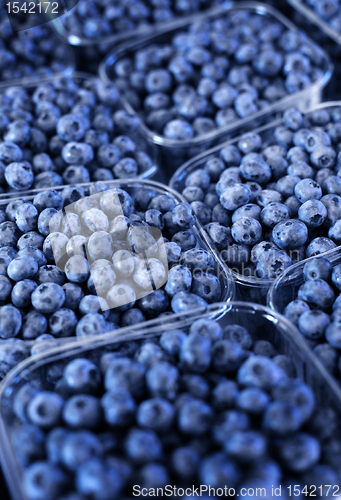 Image of Blueberries
