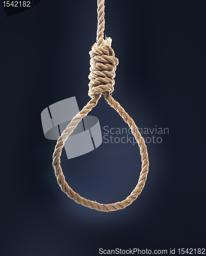 Image of Noose